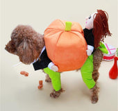 Pet Halloween Pumpkin Decorations for Clothes