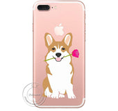 Keji Shiba In Mobile | IPhone