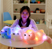 Perro De Peluche Con Luz