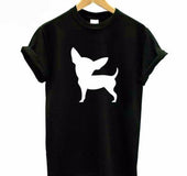 Dog street