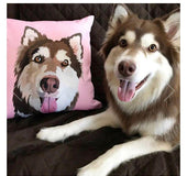 Throw Pillow