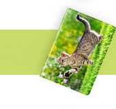 Customized Pattern Ipad Cases