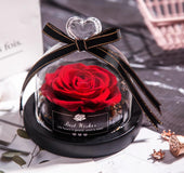 Eternal Flower Box Glass Cover for Christmas Valentine''s Day Gift Birthday Gift Red Preserved Roses