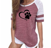 Dog paw