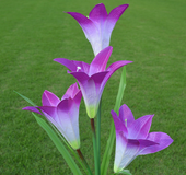 flower garden light