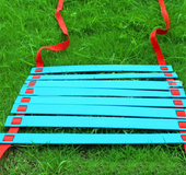 Jump ladder