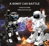 Mini Fighting RC Robot