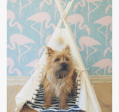 Pet Tent Bed