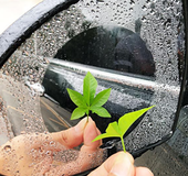 Automobile rearview mirror waterproof