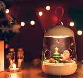 Gift Christmas Micro Landscape Plant Light Manual DIY Potted USB Charging LED Night Light