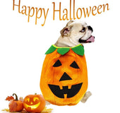 Halloween Pumpkin Makeover