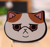 Cat Makeup Mirror