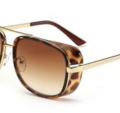 Windshield sunglasses