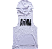 Fitness vest