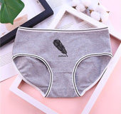Briefs