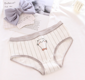 Panties cotton