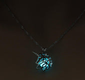 Collar luminoso