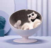 Swivel cat