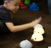 Lampara de Hamster Juguete