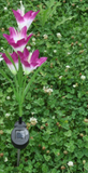 Solar LED Lily Flower Light for Garden Lawn Decoration