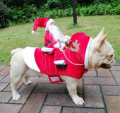 Dog Christmas clothes Santa Claus riding a deer