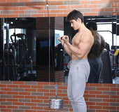 Weight-Bearing Arm Trainer