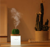 Illuminated cactus ball humidifier