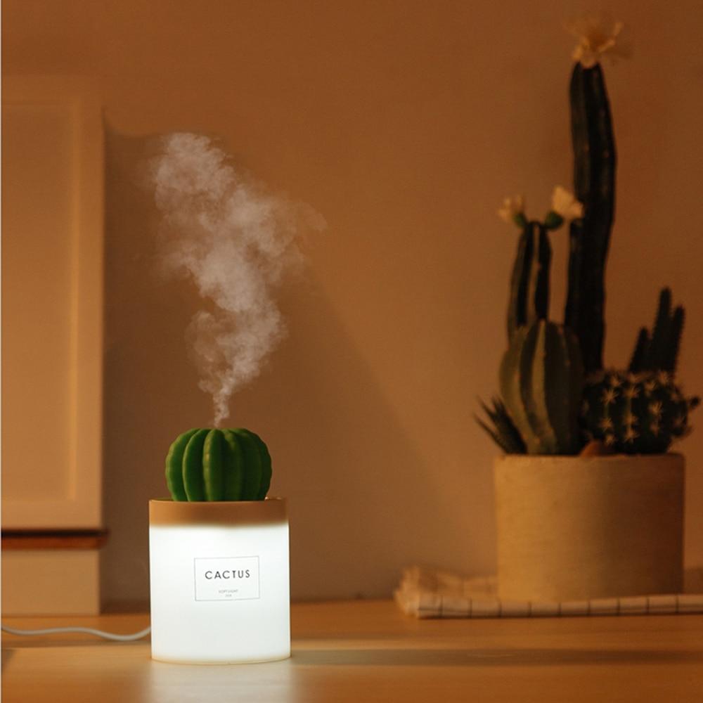 Illuminated cactus ball humidifier