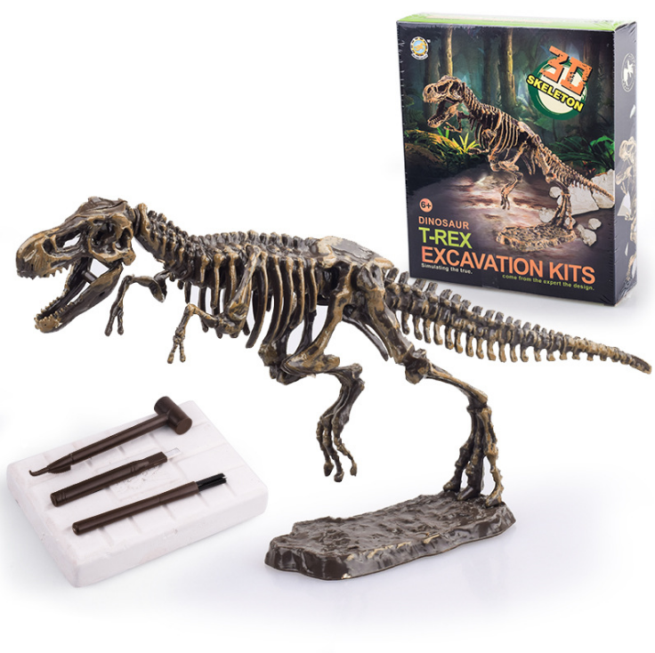 Dinosaur archaeological excavation toys  educational toys