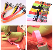 Cinturón de Seguridad