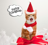 Pet supplies Christmas hat scarf set cat and dog small pet