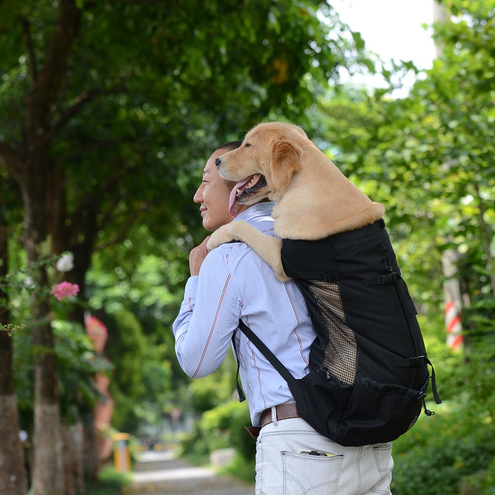 Dog Pet Shoulder Passenger Backpack Dog Outdoor Bag