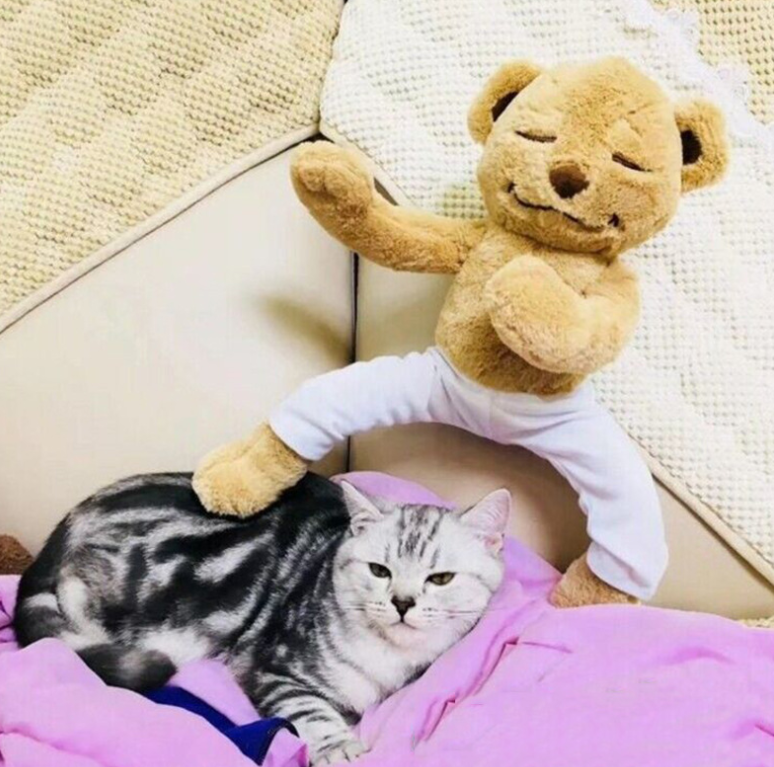 Yoga teddy bear