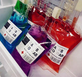 Halloween Blood Bag Drink Pack