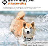 Rastreador En Tiempo Real Con APP