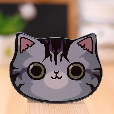 Cat Makeup Mirror