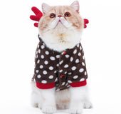 Cat clothes christmas elk makeover