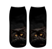Various Cat Socks
