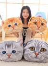 Translation missing: es.sections.featured_product.gallery_thumbnail_alt
