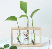 Small log hydroponic plant glass vase decoration