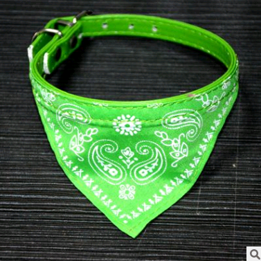 Collar Paliacate Bandana