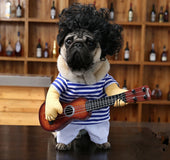 Perro Guitarrista Hipster