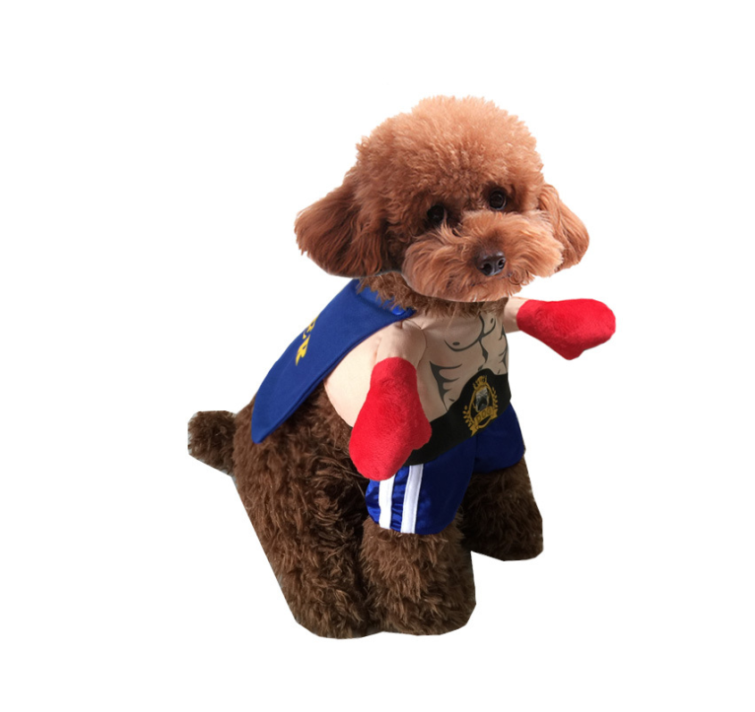 Boxer Costume