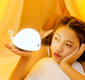 Delfín Luz De Noche