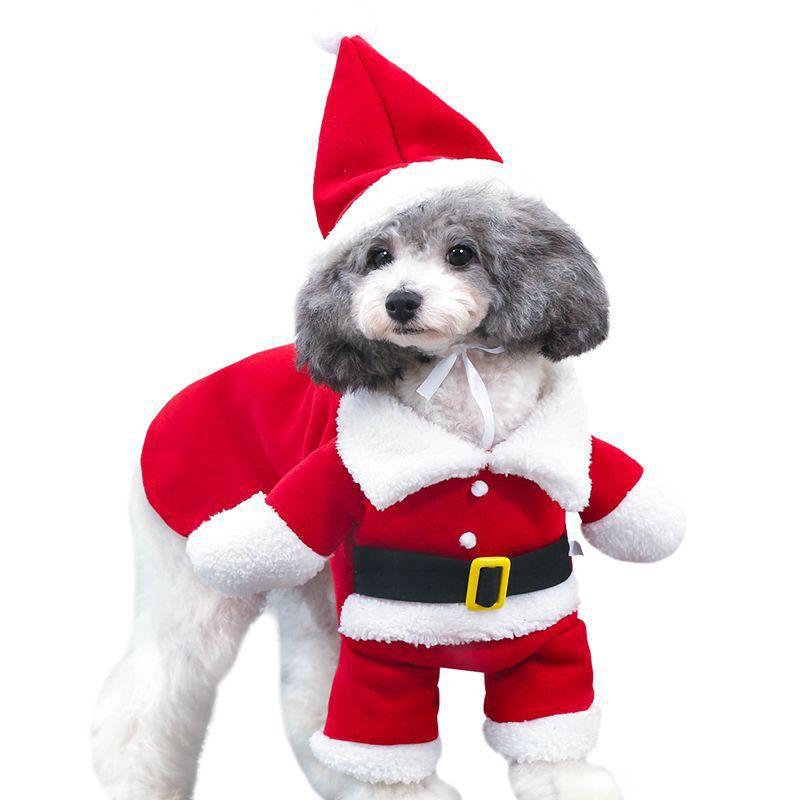 Pets turned into Christmas clothes