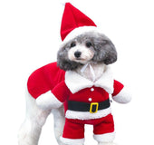 Pets turned into Christmas clothes