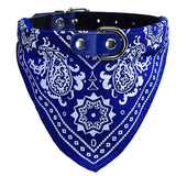 Collar Paliacate Bandana