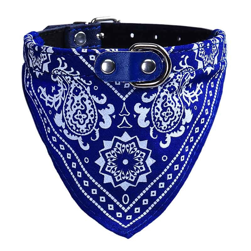 Collar Paliacate Bandana