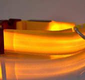 Collar Led Para Perro