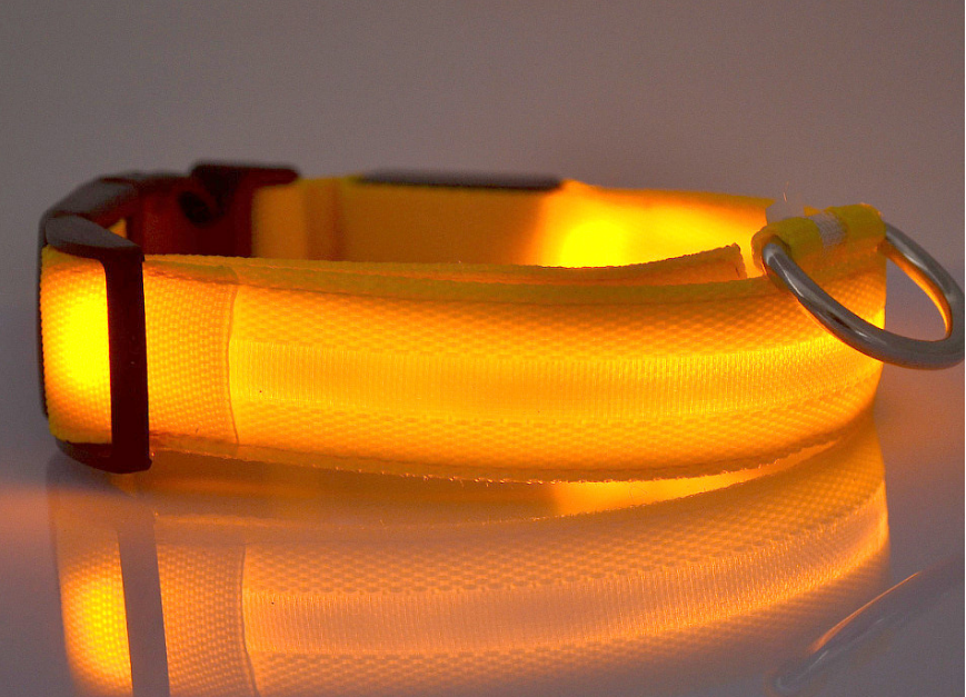 Collar Led Para Perro